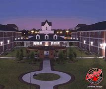 Lamar University banner